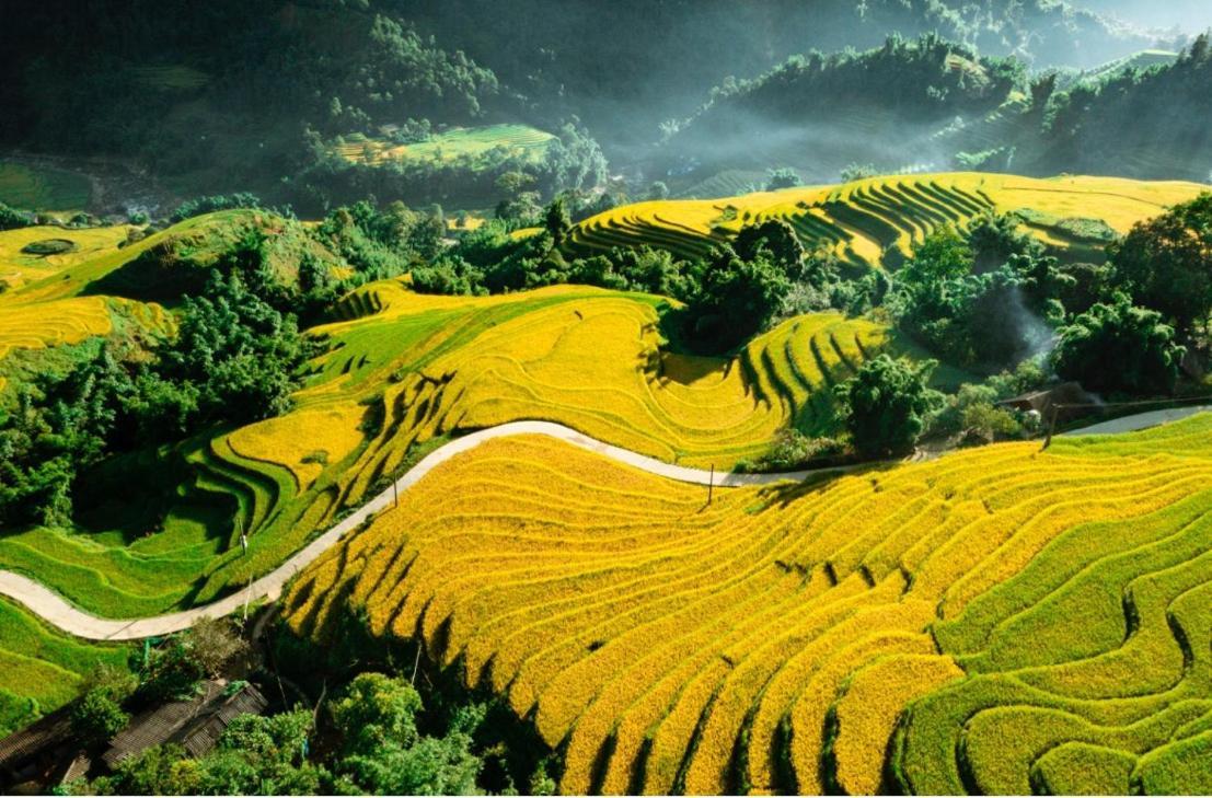 Nhat Sapa Hostel 외부 사진