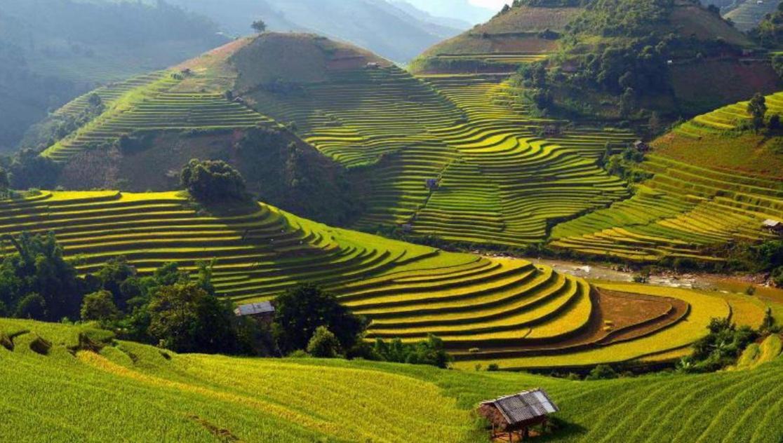 Nhat Sapa Hostel 외부 사진